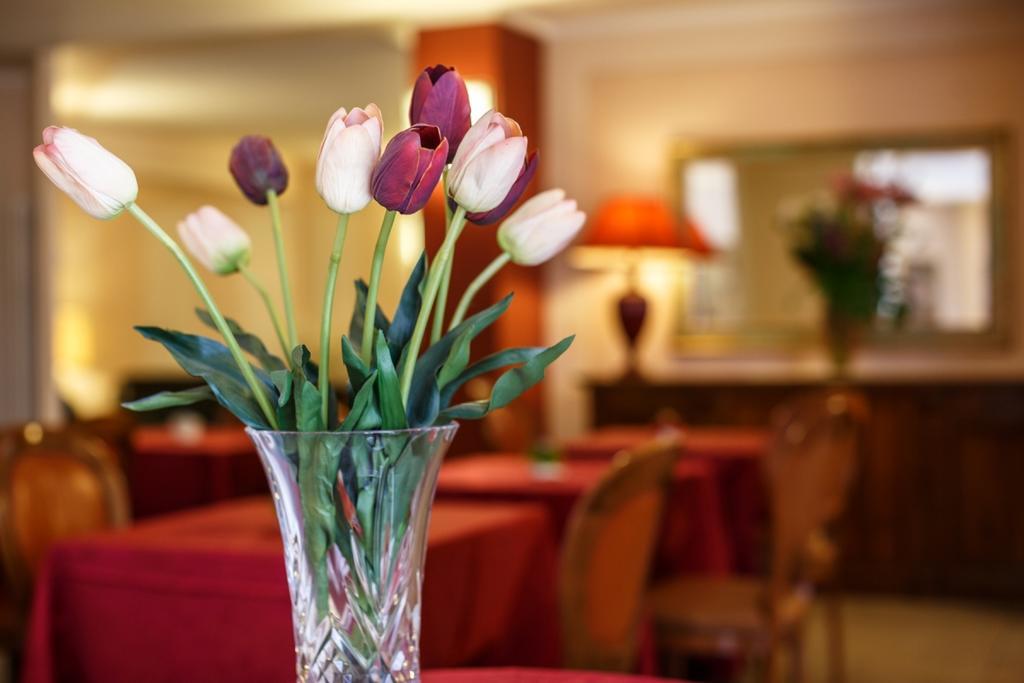 Hotel Daniel Basiano Eksteriør bilde